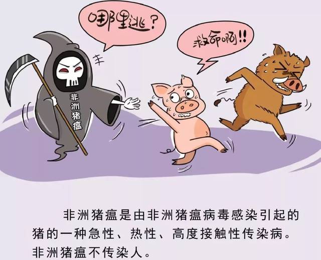 上期猴儿出了山少了猪兔失了味猜一生肖的警惕虚假宣传-全面释义、解释与落实、专家解答解释落实