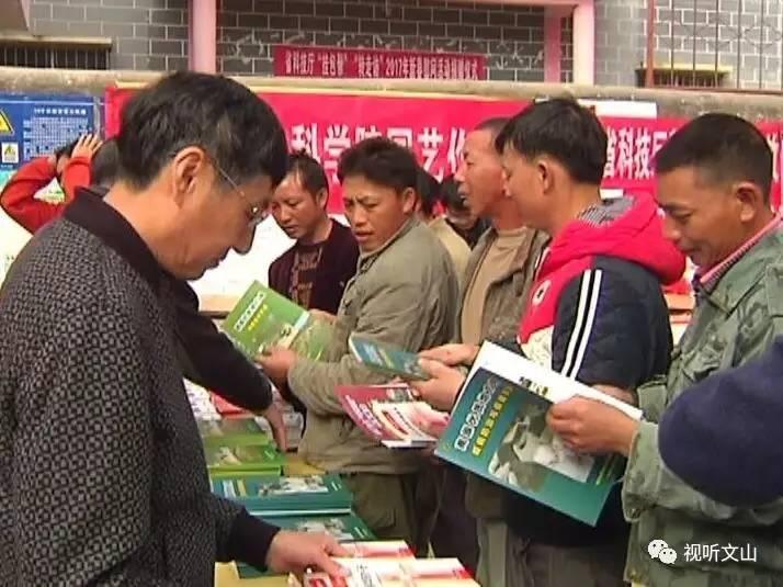 找张灯结彩的生肖打一正确生肖的全面释义、解释与落实、详细解答解释落实