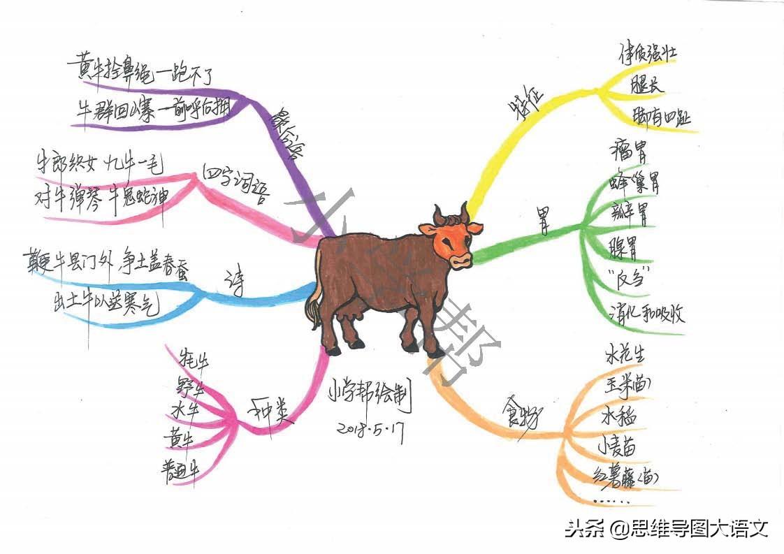 嫦娥应侮偷灵药，初生羊羔闯前方是什么生肖,警惕虚假宣传落实,综合解答解释落实