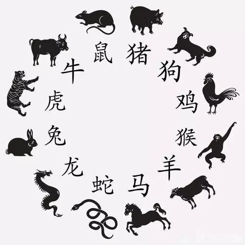 七上八下难成行打一数字生肖警惕虚假宣传、全面解答与解释、详细解答解释落实