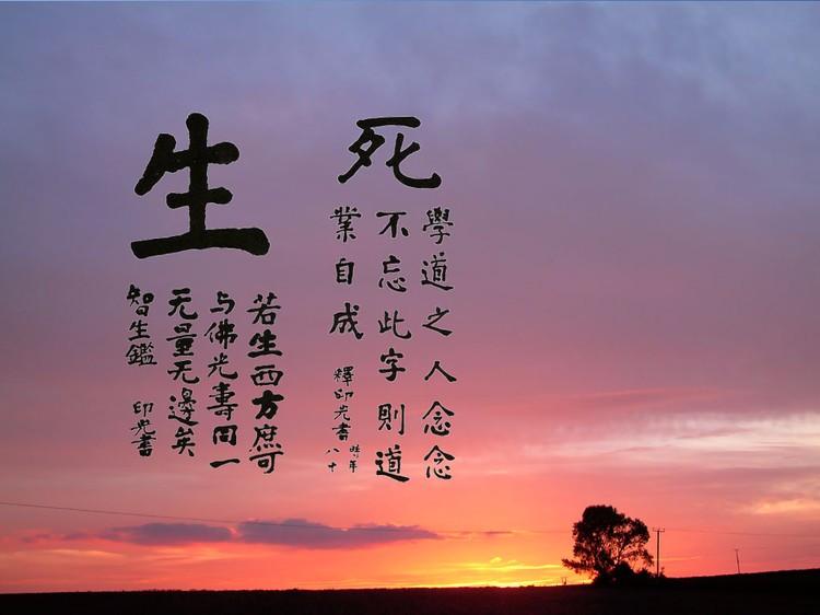 四二三七是何处,重振雄风三二开是什么生肖精选解析、解释与落实、构建解答解释落实