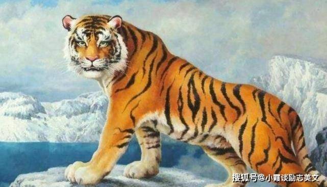 国强家富日日新 龙腾虎跃前程锦是什么生肖详细解答、解释与落实、构建解答解释落实