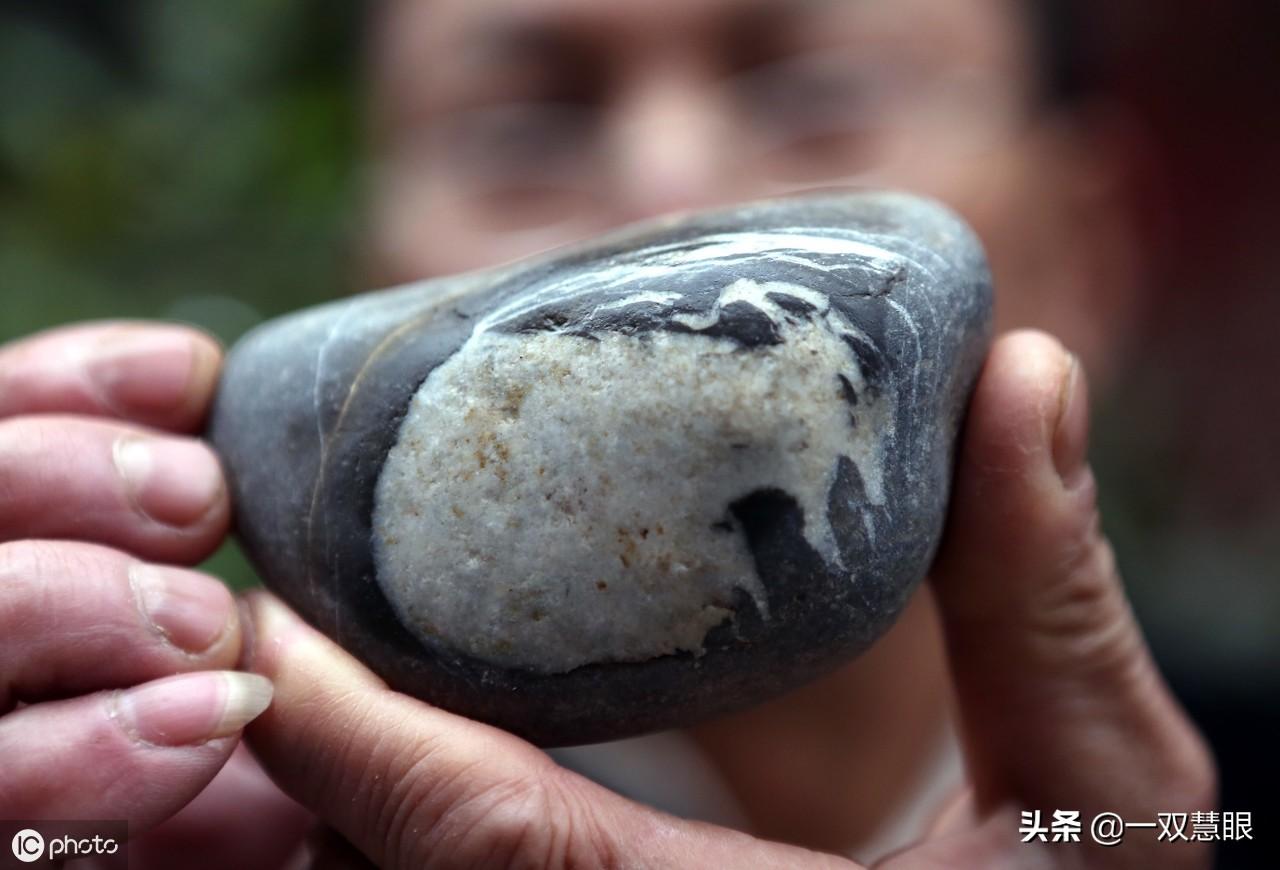 嫦娥应侮偷灵药，初生羊羔闯前方是什么生肖,警惕虚假宣传落实,综合解答解释落实
